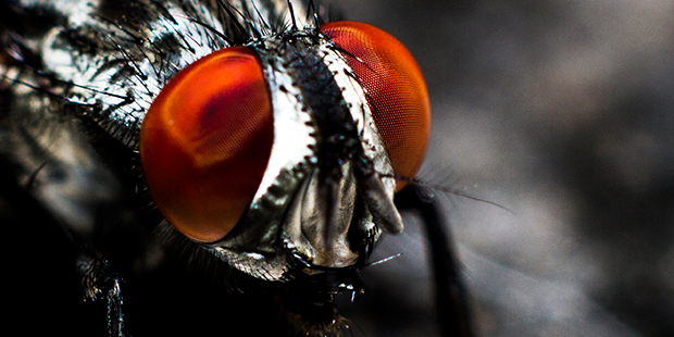 (Pexels Photo)...