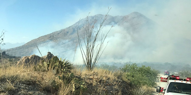 (@CoronaFire/Twitter photo)...