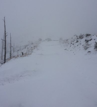 (Twitter Photo)