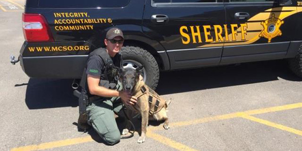 Vasku sits with Deputy Trevor Clancy, who was awarded ownership of the canine thanks to a unanimous...