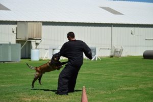 Vasku training with the Maricopa County Sheriff's Office. (Photo courtesy MCSO)
