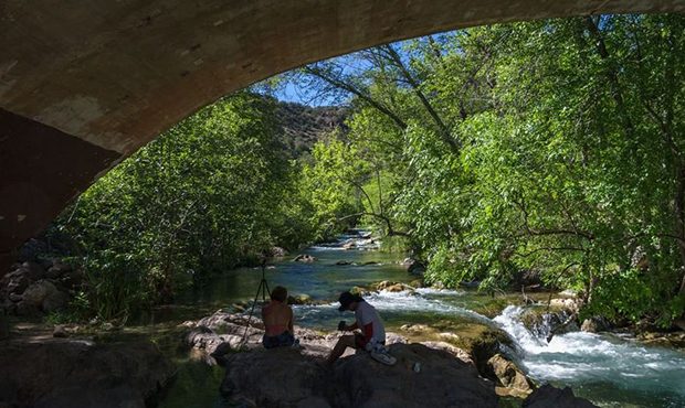 (Twitter Photo/@Coconino NF)...