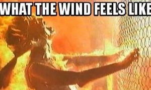 Hilarious memes to get a laugh as Phoenix roasts in a heat wave