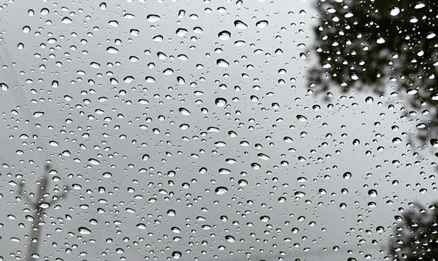 (Public Domain Photo)...