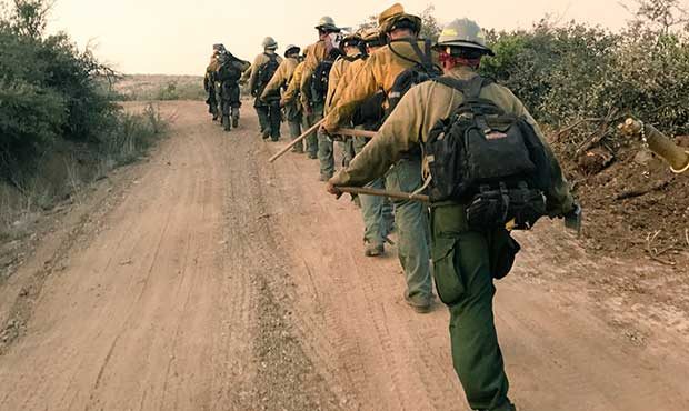 (Twitter Photo/@azstateforestry)...