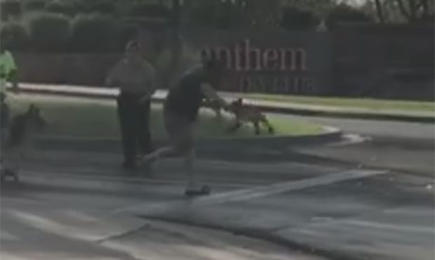 Related Phoenix Police responding to critical incident at south Phoenix apartment complexStorms bri...