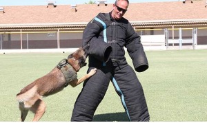 Buckeye police dog, partner call it a career after eight years