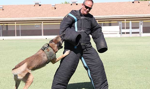 Cido and his partner, officer David Smith, retired Wednesday after eight years at the Buckeye Polic...