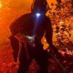goodwin fire fawn