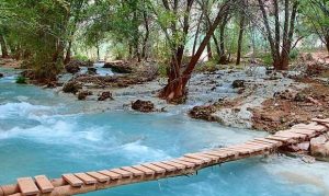 Havasupai Campground named best campsite in Arizona