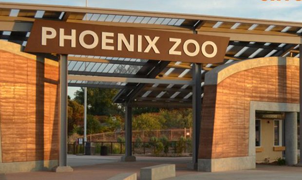 (Twitter Photo/@PhoenixZoo)...