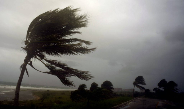 Palm trees are bent by strong winds brought by Hurricane Irma along the Malecon Seawall in Havana, ...