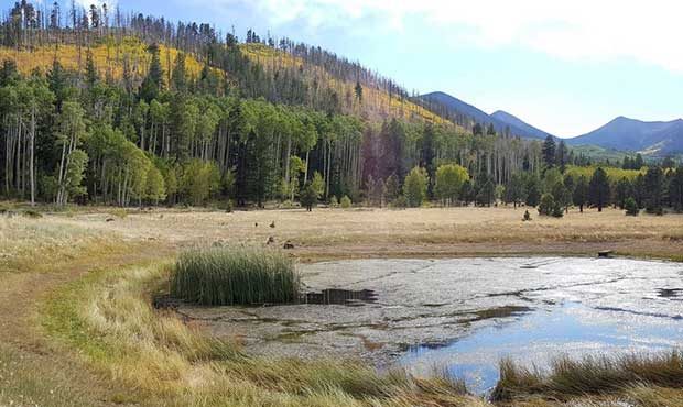 (U.S. Forest Service Coconino National Forest Photo)...