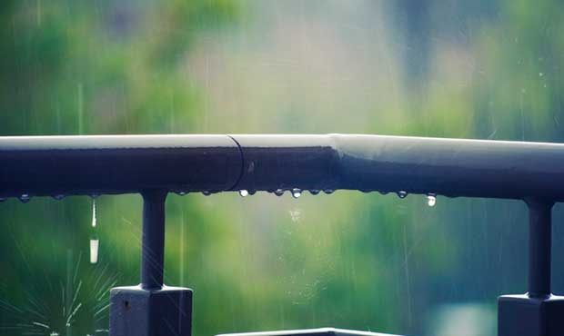 (Pexels.com Photo)...