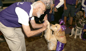 Sky Harbor launches therapy dog program for lonely, stressed fliers
