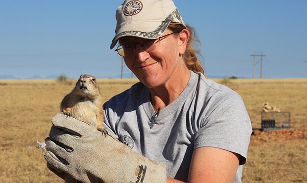 (Photo: Arizona Game and Fish Department)...