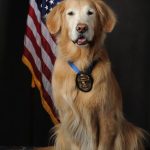 scottsdaledog