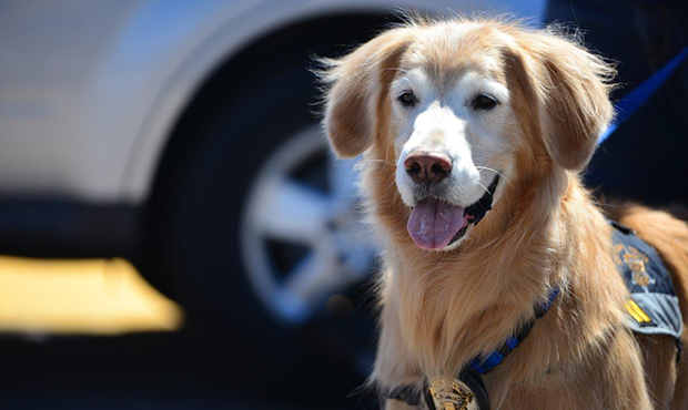 (Photo: Scottsdale Police Department...