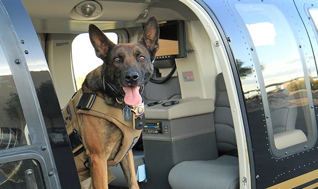 (Maricopa County Sheriff's Office)...