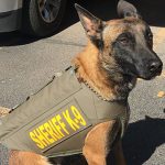 K9-4 MCSO