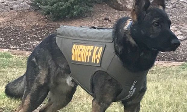 (Maricopa County Sheriff's Office Photo)...