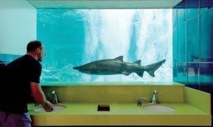 Scottsdale OdySea Aquarium wins nation's best restrooms title
