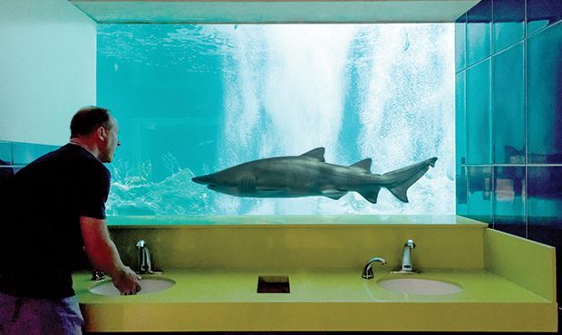 (Scottsdale OdySea Aquarium Photo)...