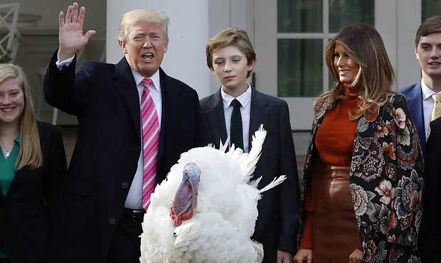 Drumstick the turkey is pardoned by President Donald Trump, left, during an annual presidential tra...
