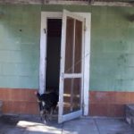 bisbee7
