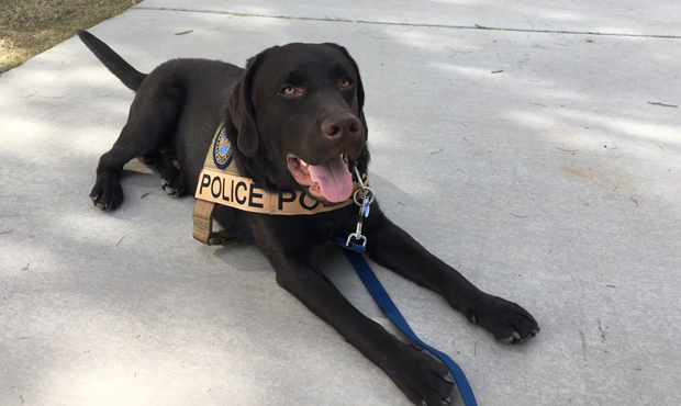 (Scottsdale Police Department)...