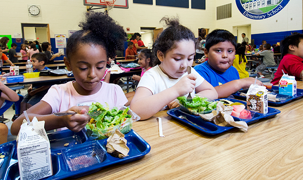 (Flickr/U.S. Department of Agriculture)...