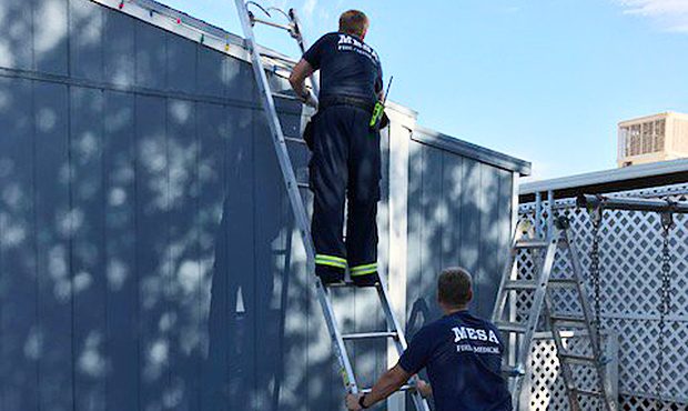 (Twitter Photo/@mesafiredept)...