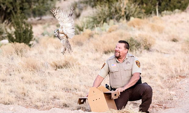 (Photo: Yavapai County Sheriff’s Office)...