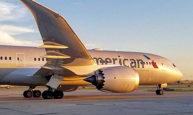 (American Airlines Facebook Photo)...