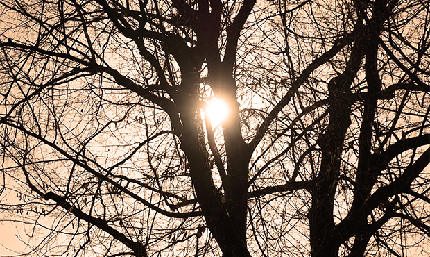 (Flickr/Matt R)...
