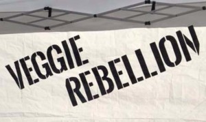 Arizona's first all-vegan grocery store to open soon in Glendale