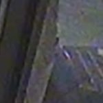 Panda Camera 03 19_06_03 187 - Suspect Face CROP FULL BODY