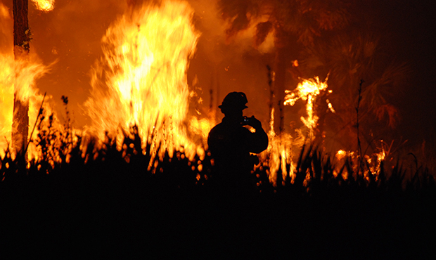 (Flickr/U.S. Fish and Wildlife Service)...