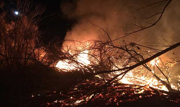 (Twitter Photo/@azstateforestry)...