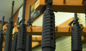 Flake's plan to raise age limit for long guns leaves both sides unhappy