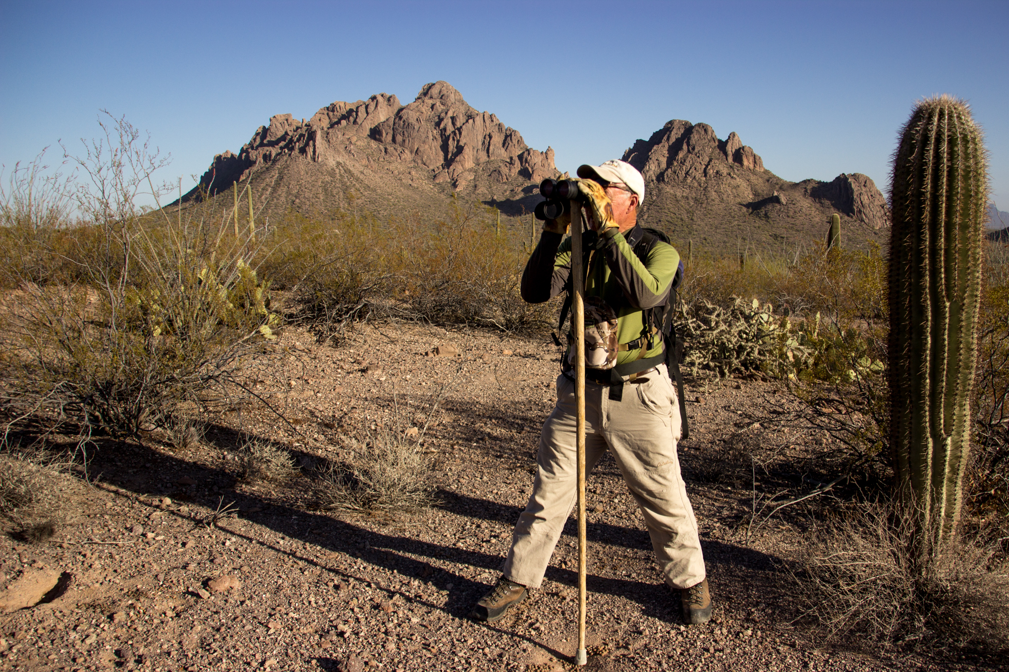 Bighorn sheep thrive in rugged terrain, which helps them escape predators quickly. (Photo courtesy ...