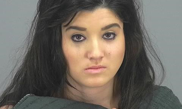 (Pinal County Sheriff's Office Photo)...