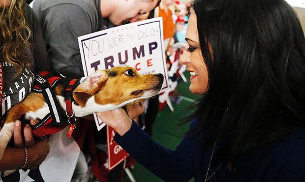 (Twitter Photo/@OMGrisham)...