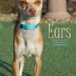 ears