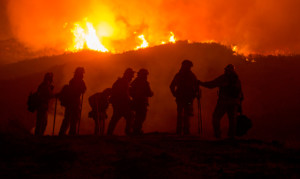 Let it burn: Arizona saw fewer wildfires in 2018 compared to year prior