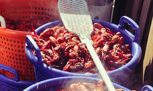 (Facebook Photo/Southwest Cajun Fest)...