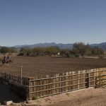 Almost ranch 10