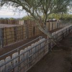 Almost ranch 12