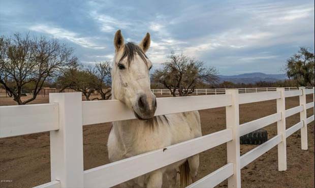 (Sotheby's International Realty Photo)...