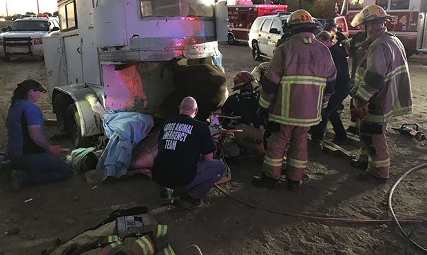 (Twitter Photo/@PHXFire)...